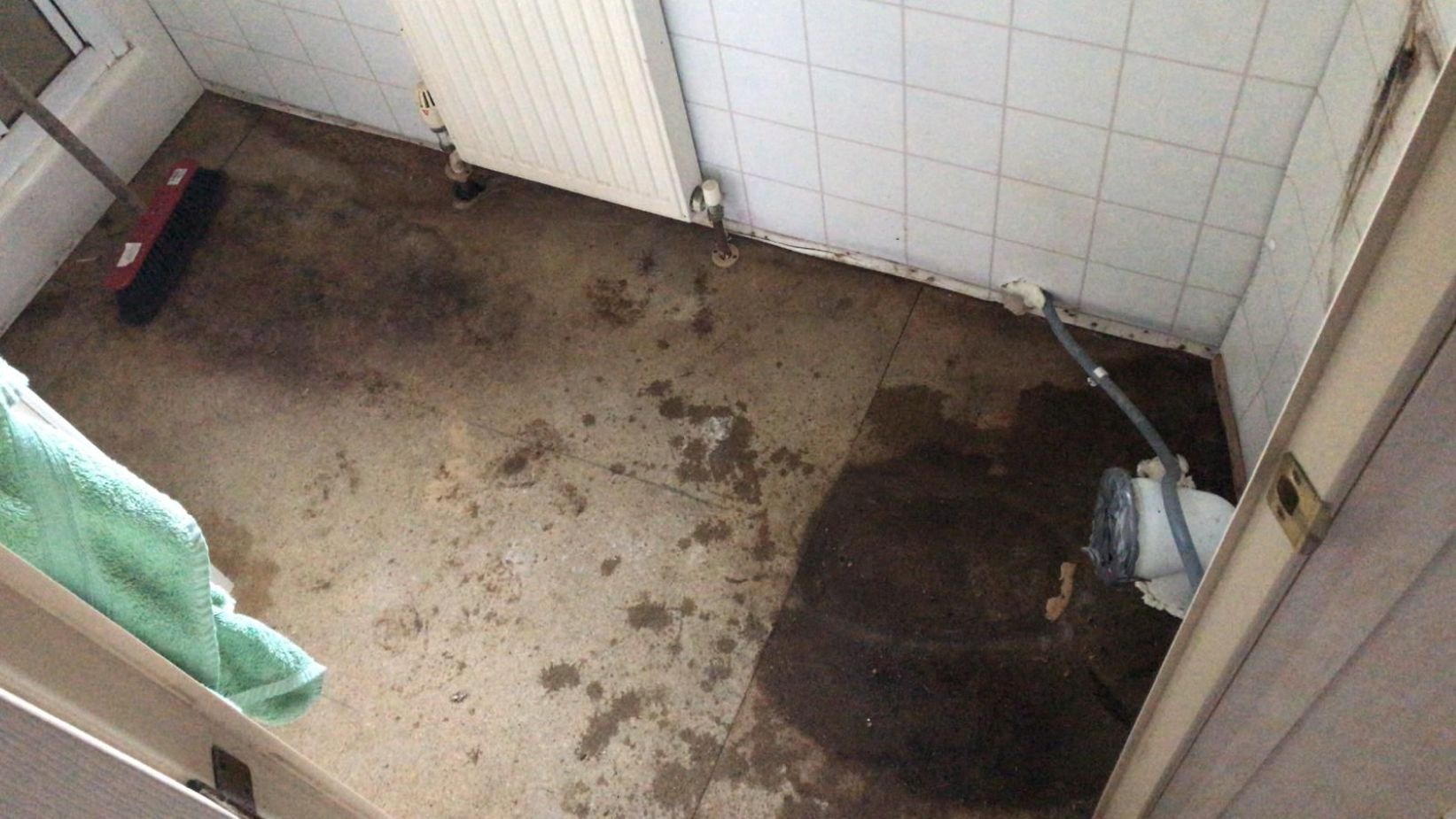 Grīda pirms – vecais segums pirms nomaiņas